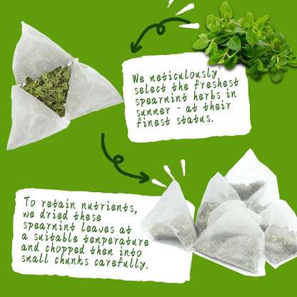 Jarteela Lemon Balm Tea, 1.5g x 60 Count - Natural Melissa Officinalis - Pyramid Herbal Lemon Balm Tea Bags for Digestion - Non-GMO - Caffeine-Free