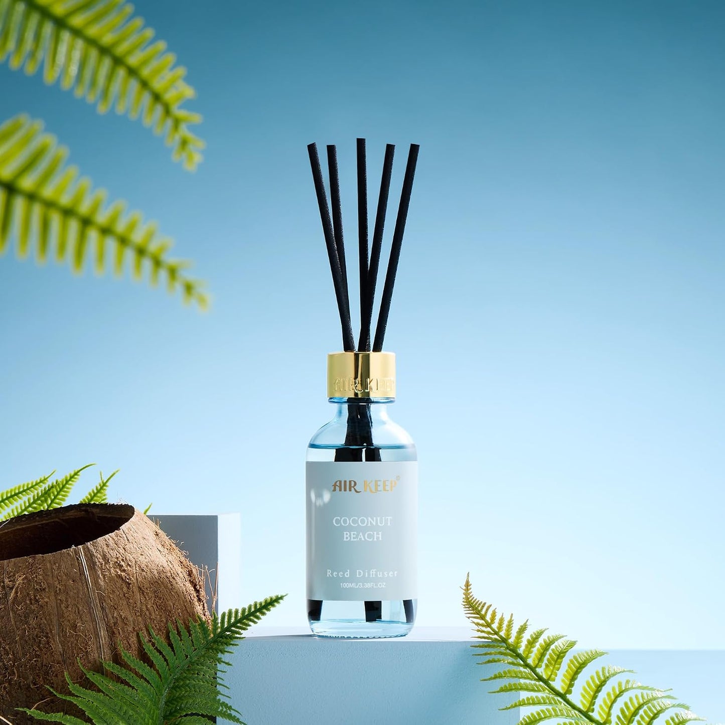 Airkeep Reed Diffuser Oil Set with Reed Sticks,Citrus Aromatherapy Oil Scent Diffuser for Home Office Bathroom Decoration Perfume and Gifts 3.38oz/100ml