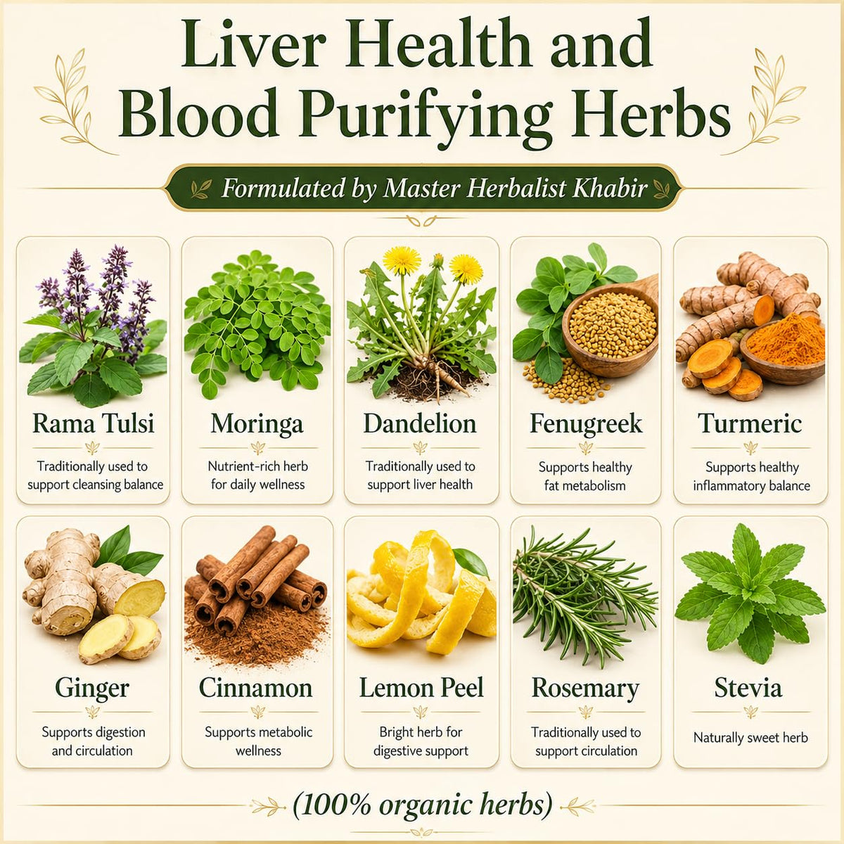 CHOLESTEROL HEALTH TEA – Traditional Herbal Tea for Healthy Cholesterol Levels with Moringa, Fenugreek, Turmeric, Cinnamon, Ginger, Tulsi & Dandelion – Premium Organic Loose Leaf Tea by Master Herbalist Khabir – Non-GMO, No Additives