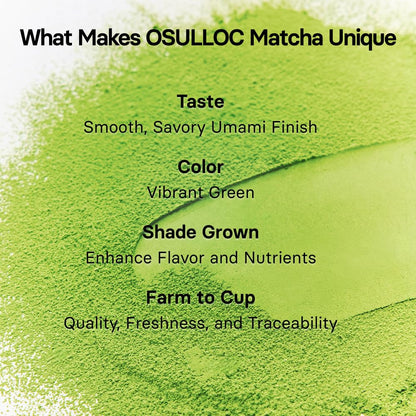 OSULLOC Jeju Matcha Milk Tea Powder Stick Packets, 10 Count