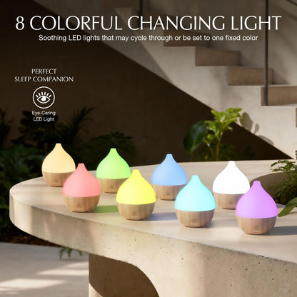 SALKING Essential Oil Diffuser, 100ml Small Aromatherapy Diffuser with Auto Shut-Off Function, Ultrasonic Diffusers for Essential Oils, Cool Mist Humidifier with Warm White Lights, for Office Home