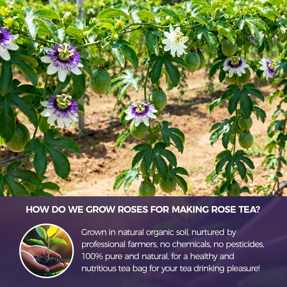 WOTIHA Passion Flower Herb (4.8 oz Bonus Size) - Pure Dried Passion Flower Leaf Cut & Sifted - Natural Passiflora Incarnata for Restful Nighttime & Calm - Non-GMO Loose Leaf Tea - Premium Bulk Value