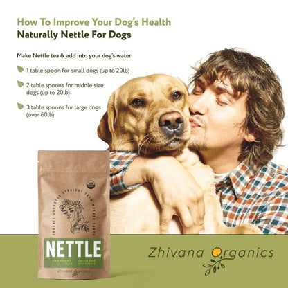 Nettle Tea Organic (100 Tea Bags) - Te de Ortiga - Digestion, Fluid Balance