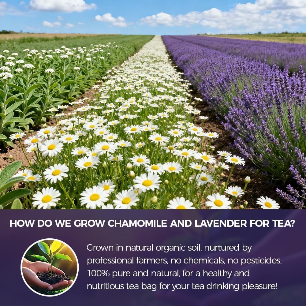 WOTIHA 60 Count Premium Chamomile Lavender Tea Bags - 100% Pure Flowers, Soothing Aroma, Supports Relaxation & Better Sleep, Caffeine-Free, Additive-Free, Sugar-Free, Vegan.Non-GMO