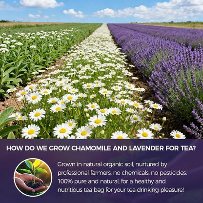 WOTIHA 60 Count Premium Chamomile Lavender Tea Bags - 100% Pure Flowers, Soothing Aroma, Supports Relaxation & Better Sleep, Caffeine-Free, Additive-Free, Sugar-Free, Vegan.Non-GMO