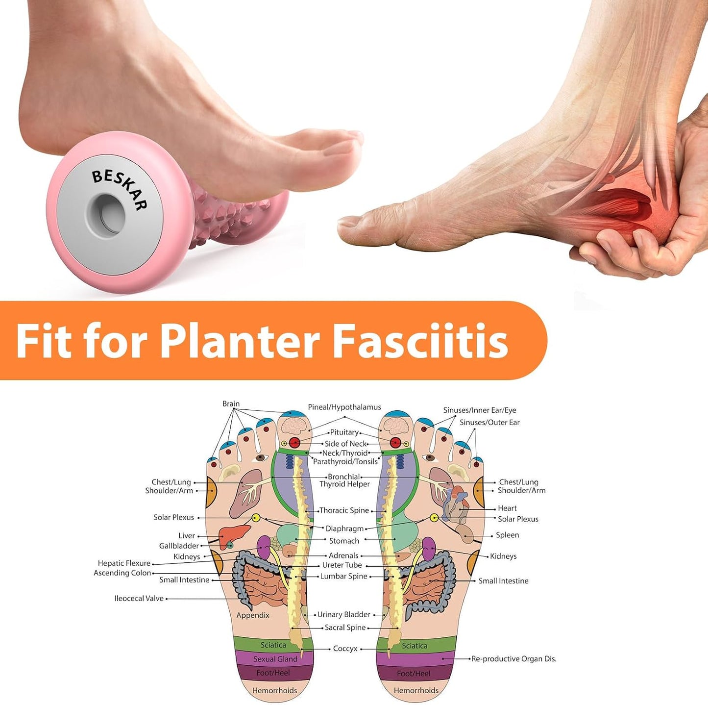 BESKAR Foot Massager Roller for Plantar Fasciitis Relief, Portable, Deep Tissue Muscle Massage, Foot Arch and Heel Pain, Reflexology Tool