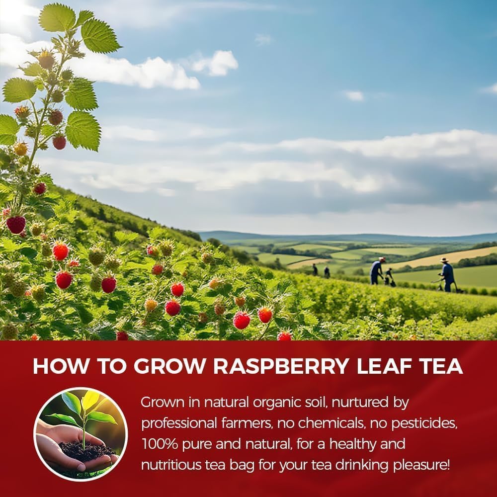 WOTIHA 80 Count Premium Raspberry Leaf Tea Bags - Pure Red Raspberry Leaf, Supports Pregnancy Health & Menstrual Comfort, Aids Childbirth Prep, Caffeine-Free, Additive-Free