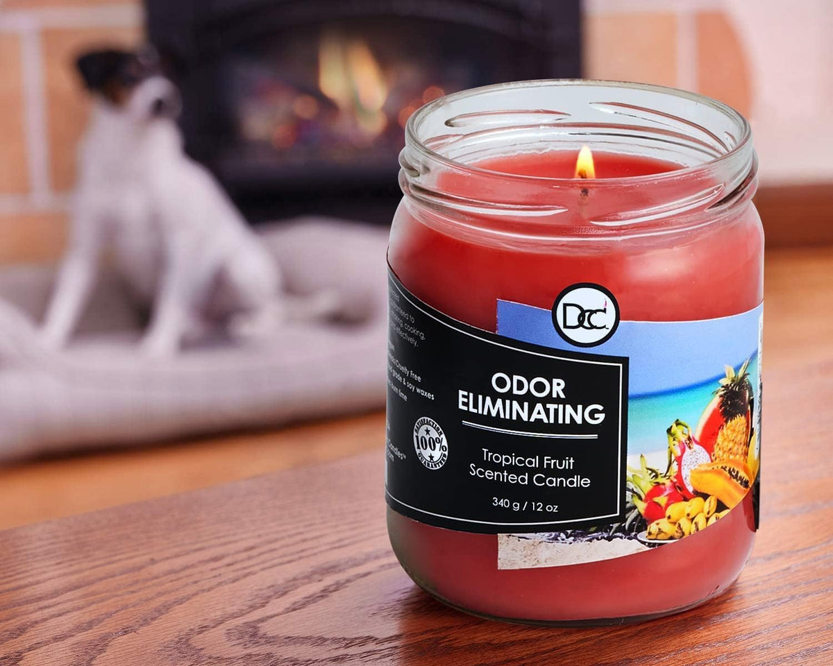 Vanilla Bean Odor Eliminating Highly Fragranced Candle - Eliminates 95% of Pet, Smoke, Food, and Other Smells Quickly - Up to 80 Hour Burn time - 12 Ounce Premium Soy Blend - Colors A
