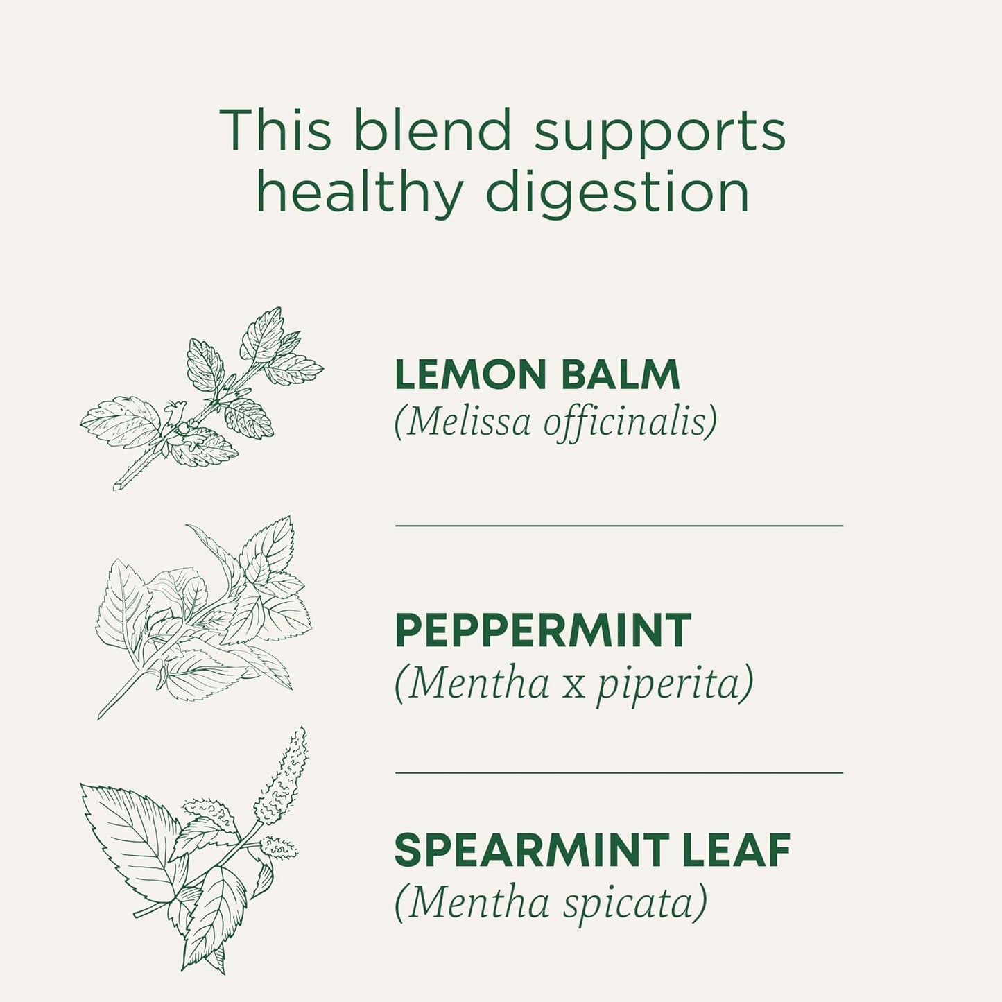 Traditional Medicinals Organic Lemon Ginger Tea, 1.13 Oz, 16 Count