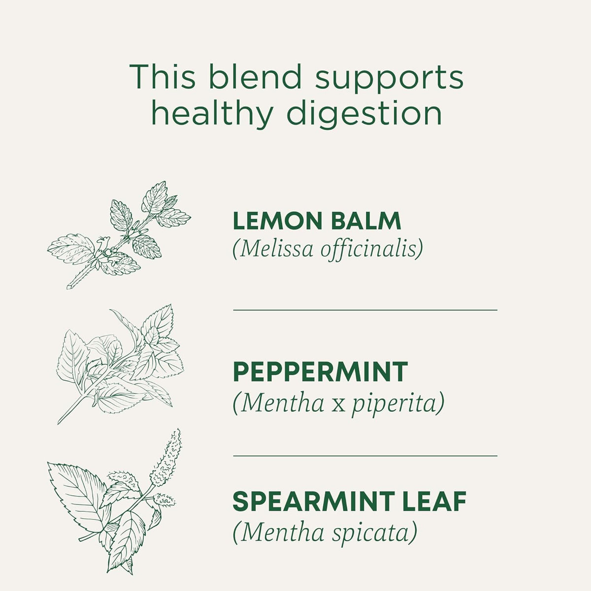 Traditional Medicinals Organic Triple Mint, 96 Tea Bags
