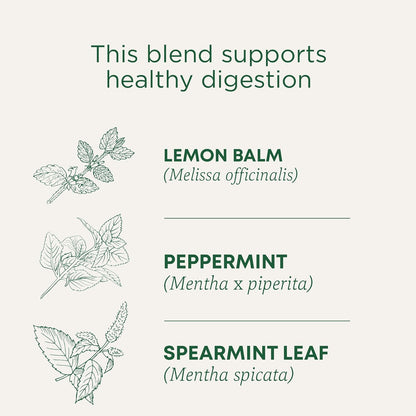 Traditional Medicinals Organic Triple Mint, 96 Tea Bags