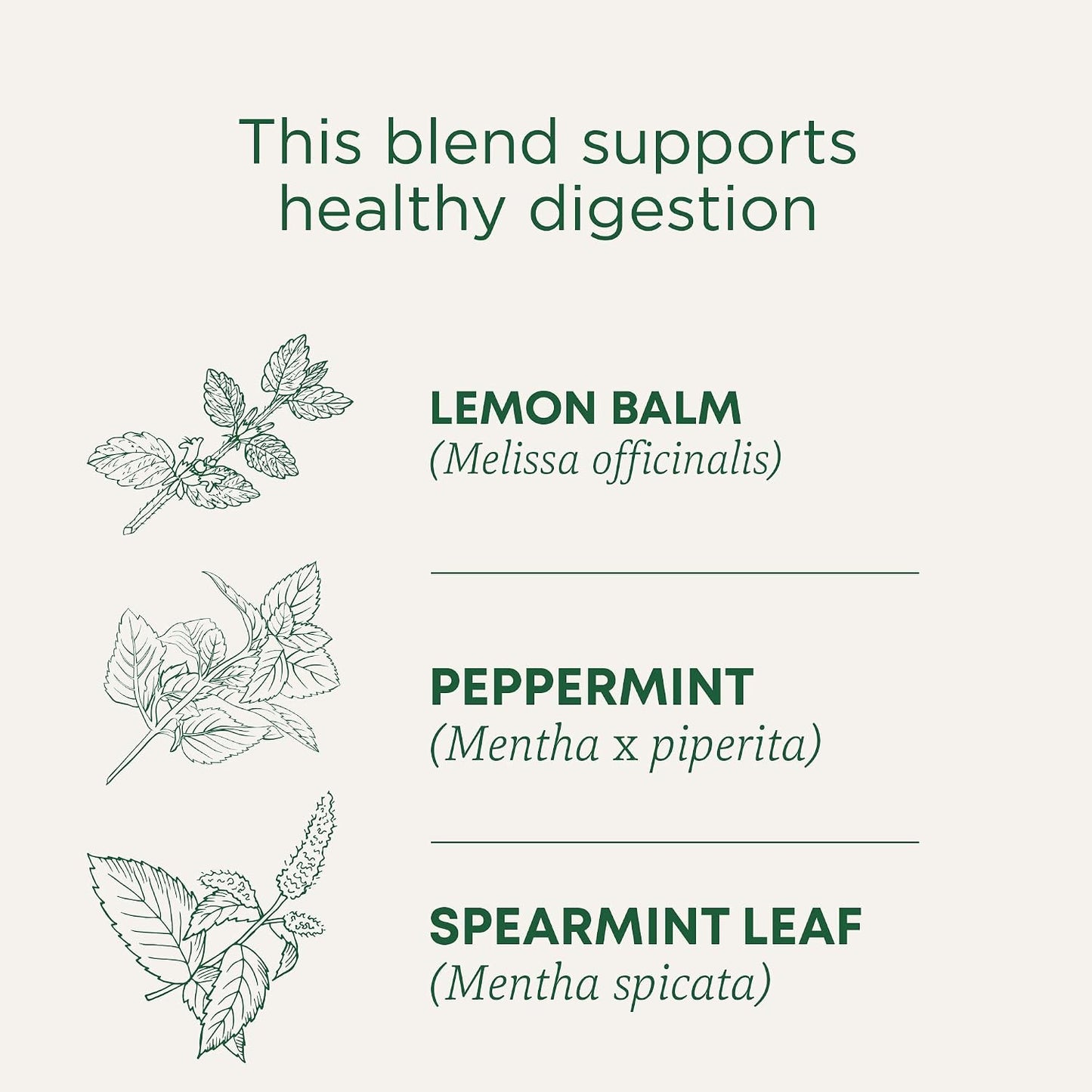 Traditional Medicinals Tea, Organic Peppermint, Soothes Your Belly, Refreshing & Minty, 96 Tea Bags (6 Pack)