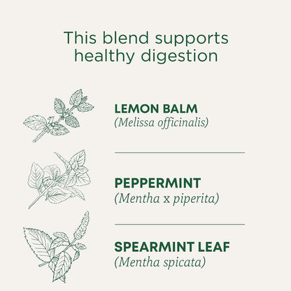 Traditional Medicinals Tea, Organic Peppermint, Soothes Your Belly, Refreshing & Minty, 96 Tea Bags (6 Pack)