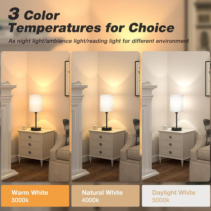 Small Bedside Table lamp for Bedroom - 3 Color Temperatures Bedside Lamps with USB C and A Ports, Pull Chain Table Lamps with AC Outlet, White Nightstand Lamps with Black Metal Base for Kids Reading