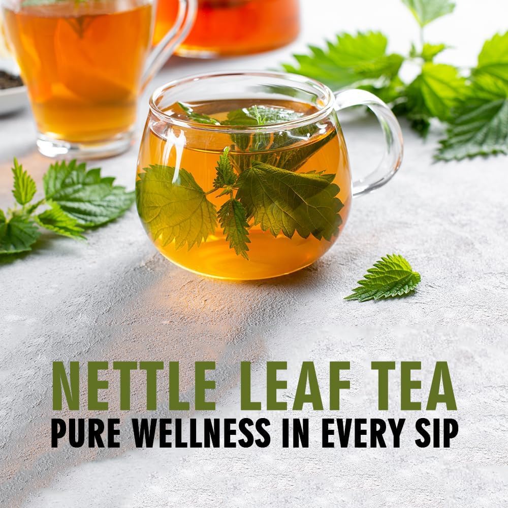 Nettle Leaf Tea 80 g | Loose Cut & Sifted for Fresh Herbal Infusions | Dried Urtica dioica Leaf cut for Herbal Tea By Hebhac Herbals