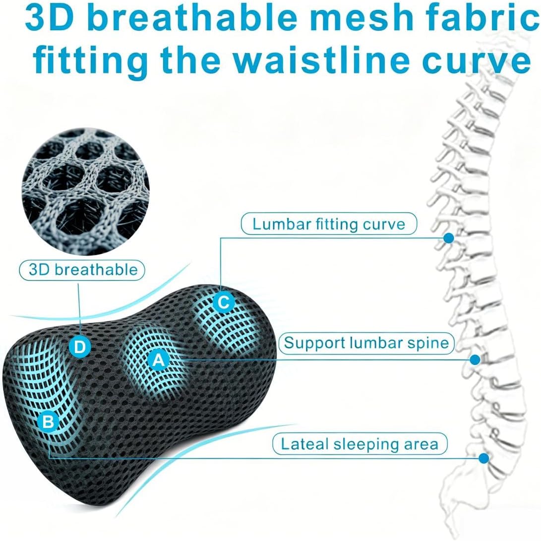 Lumbar Support Pillow for Office Chair, Ergonomic Memory Foam Back Cushion for Lower Back Support, Breathable Mesh Lumbar Cushion for Car Seat, Desk Chair & Long Sitting Relief