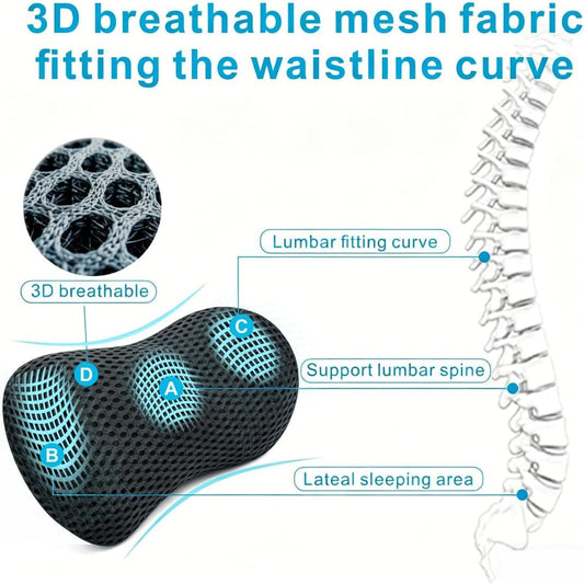 Lumbar Support Pillow for Office Chair, Ergonomic Memory Foam Back Cushion for Lower Back Support, Breathable Mesh Lumbar Cushion for Car Seat, Desk Chair & Long Sitting Relief
