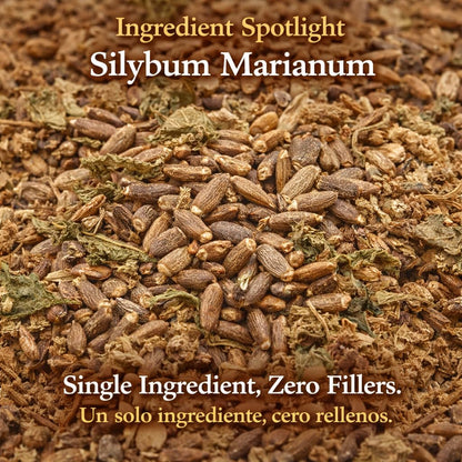 Cardo Mariano Mexican Herbal Tea - 4 oz (113g) - Authentic 100% Natural Milk Thistle Loose Leaf Tea - Wildcrafted, Non-GMO & Caffeine-Free - Traditional Botanical - by BEXPERTSUSA