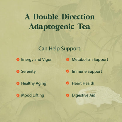 Dragon Herbs Spring Dragon Longevity Tea - Adaptogenic Gynostemma Leaf Herbal Tea Infused with Schizandra Berry, Goji Berry, Astragalus Root, Eleuthero Root, Luo Han Guo Fruit – Immune Support, Calming, Invigorating, Energy, Soothing, Digestion Support,