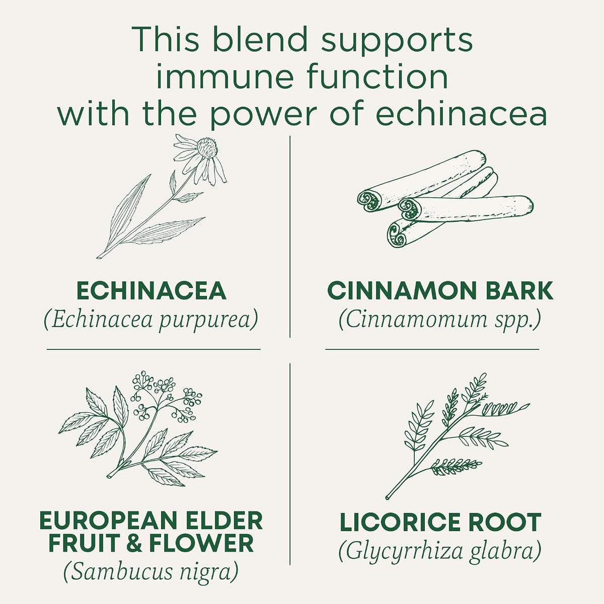 Traditional Medicinals Organic Immune Zoom Elderberry Echinacea 16 Tea Bags