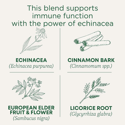 Traditional Medicinals Organic Immune Zoom Elderberry Echinacea 16 Tea Bags