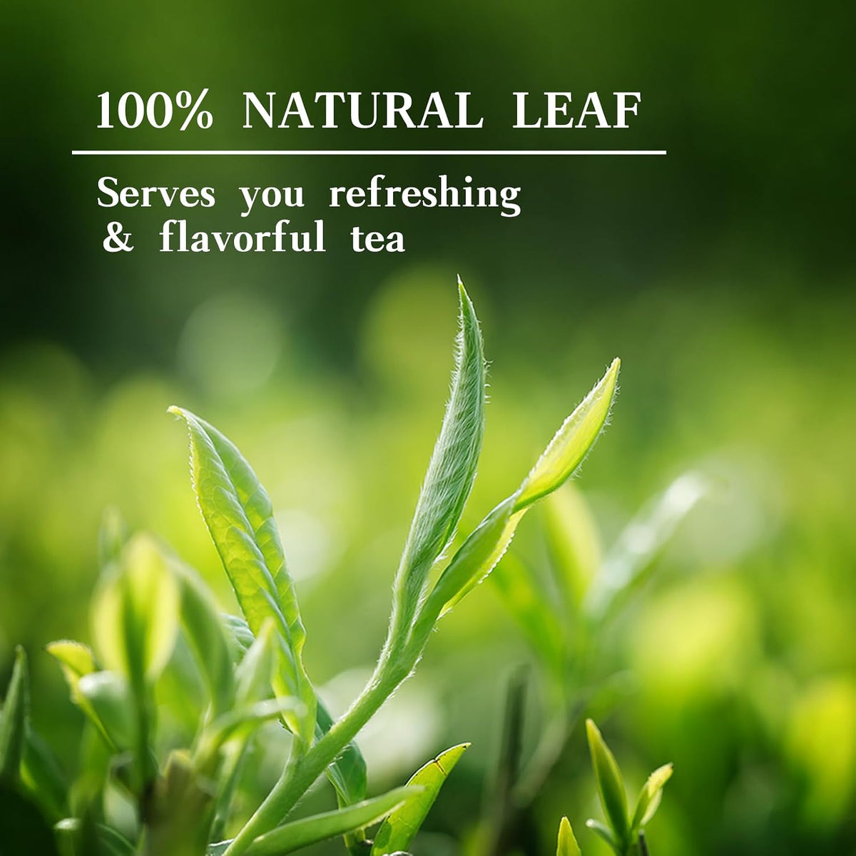Taimei Teatime Gongmei Pyramid White Tea Bags Loose Leaf Bags 35 ct, 3.53oz