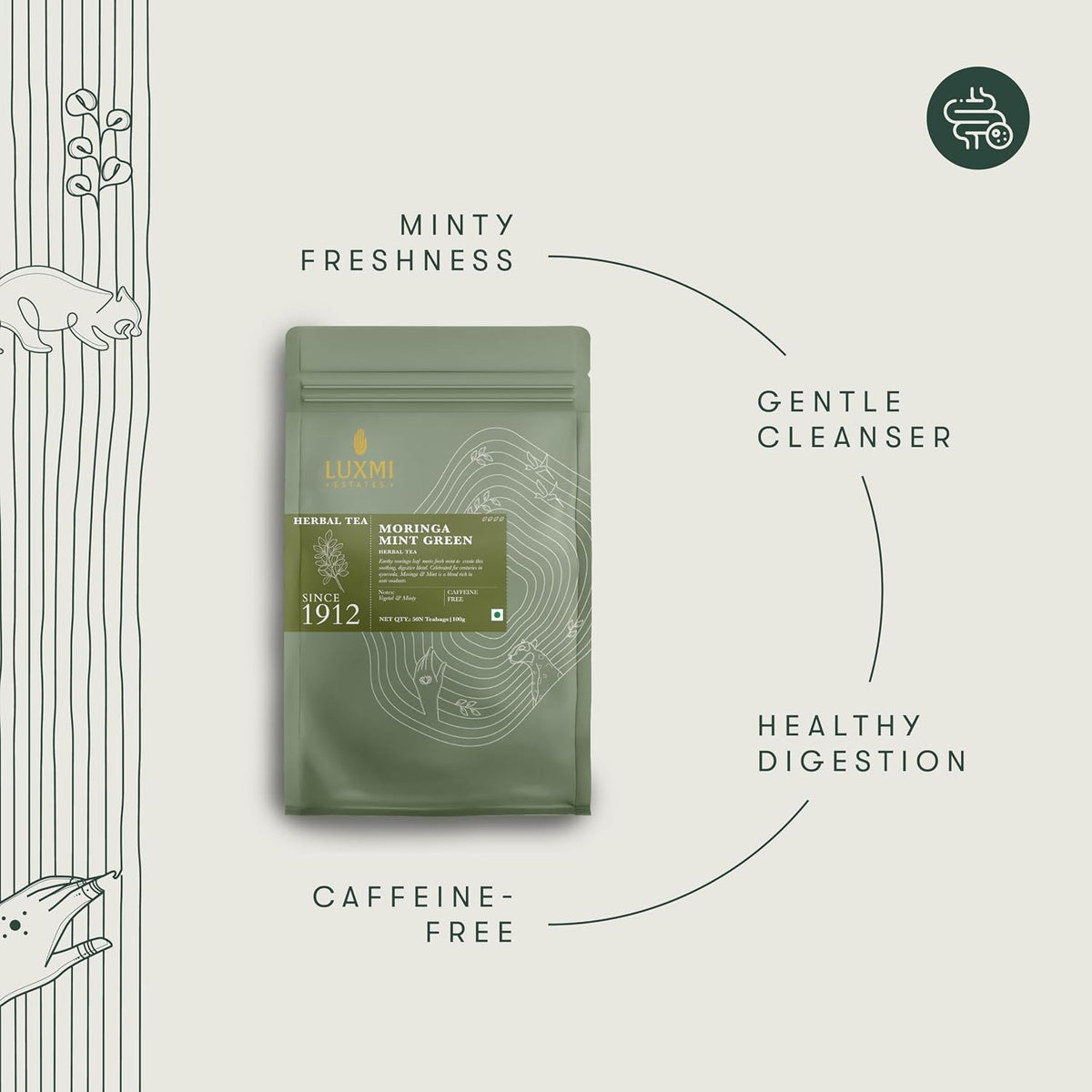 Luxmi Estates Moringa Mint Herbal Tea, 50 Biodegradable Pyramid Tea Bags (100g, 3.5oz) | USDA Organic Moringa Oleifera Leaf with Spearmint | Caffeine-Free Superfood Infusion, Vegan & Non-GMO Bulk Pack