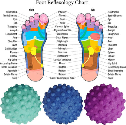 Foot Massage Ball Myofascial Release, Pain Relieve from Plantar Fasciitis, Massage Tool for Tight Muscles and Sore Feet, Restore Foot Massage Roller