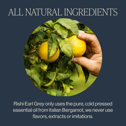 Rishi Tea Earl Grey Organic Black Sachet Tea Bags, Caffeinated, 90ct