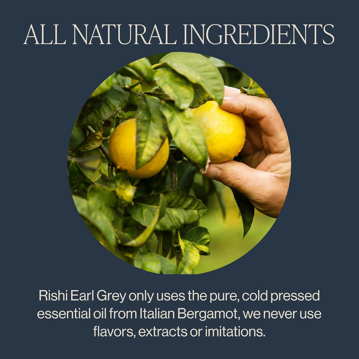 Rishi Tea Earl Grey Organic Black Sachet Tea Bags, Caffeinated, 15ct