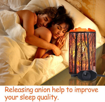 Shineled Himalayan Salt Lamp, Salt Rock Lamp Natural Night Light in Forest Design Metal Basket with Dimmer Switch (4.1 x 6.5 4.4-5lbs), 25Watt Bulbs & ETL Cord 1 Pack