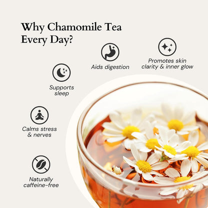 Sippingly Night Time Tea Sampler – 40 Herbal Teas – 10 Flavors from Top Brands – Chamomile, Lavender, Passionflower – Perfect Relaxation & Calm Support – Ideal Wellness Gift – Kosher, Gluten-Free