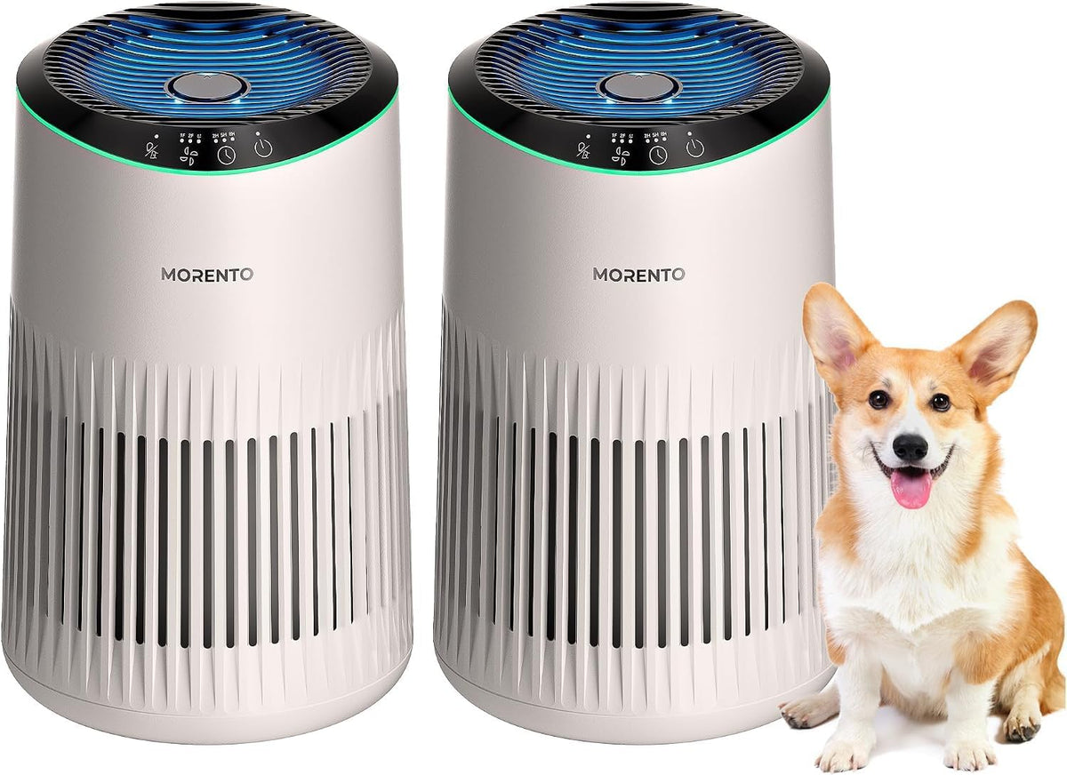 Air Purifiers for Bedroom Home for Smoke Pet Dander Odors 2 Pack Ivory