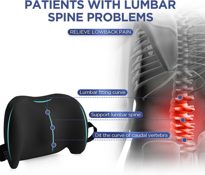 Lumbar Support Pillow for Office Chair, Car Lumbar Pillow Lower Back Pain Relief, Memory Foam Back Cushion with 4D Mesh Cover and Adjustable Straps, Ergonomic Chair Back Pillow for Car,Bed, Gaming