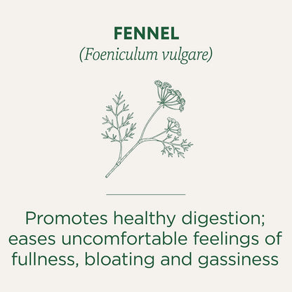 Traditional Medicinals Tea, Organic Fennel, Promotes Healthy Digestion, 96 Tea Bags (6 Pack)