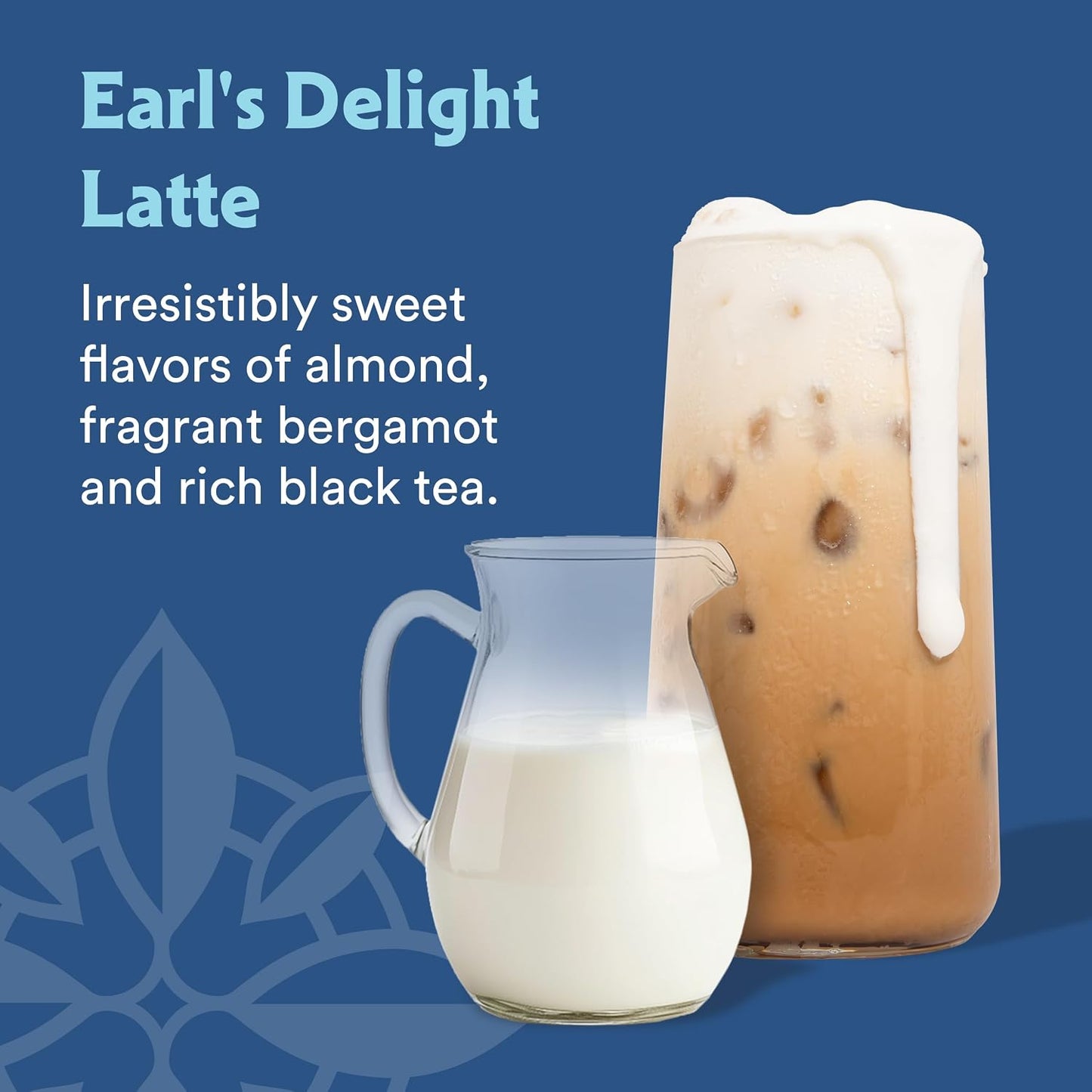 STASH Double Spice Chai Latte - Dairy Free Plant Based Tea Concentrate - Caffeinated - 32 fl oz, 5 Servings