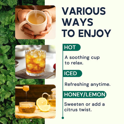 Lemon Balm Tea Bags, Pure & Natural Melissa Officinalis Herbal Tea, Premium Dried Lemon Balm Leaf with Naturally Lemony & Citrusy Flavor, Caffeine-Free, Non-GMO, 100 Count