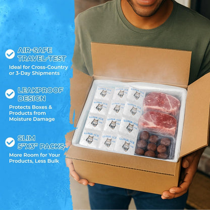 Dry Ice Packs for Shipping - Long Lasting ice Packs - 24+ Hour Freeze Power - BPA Free - 12 Pack Bulk 3 lb – Hielo Seco - Reusable Gel Bricks for Food