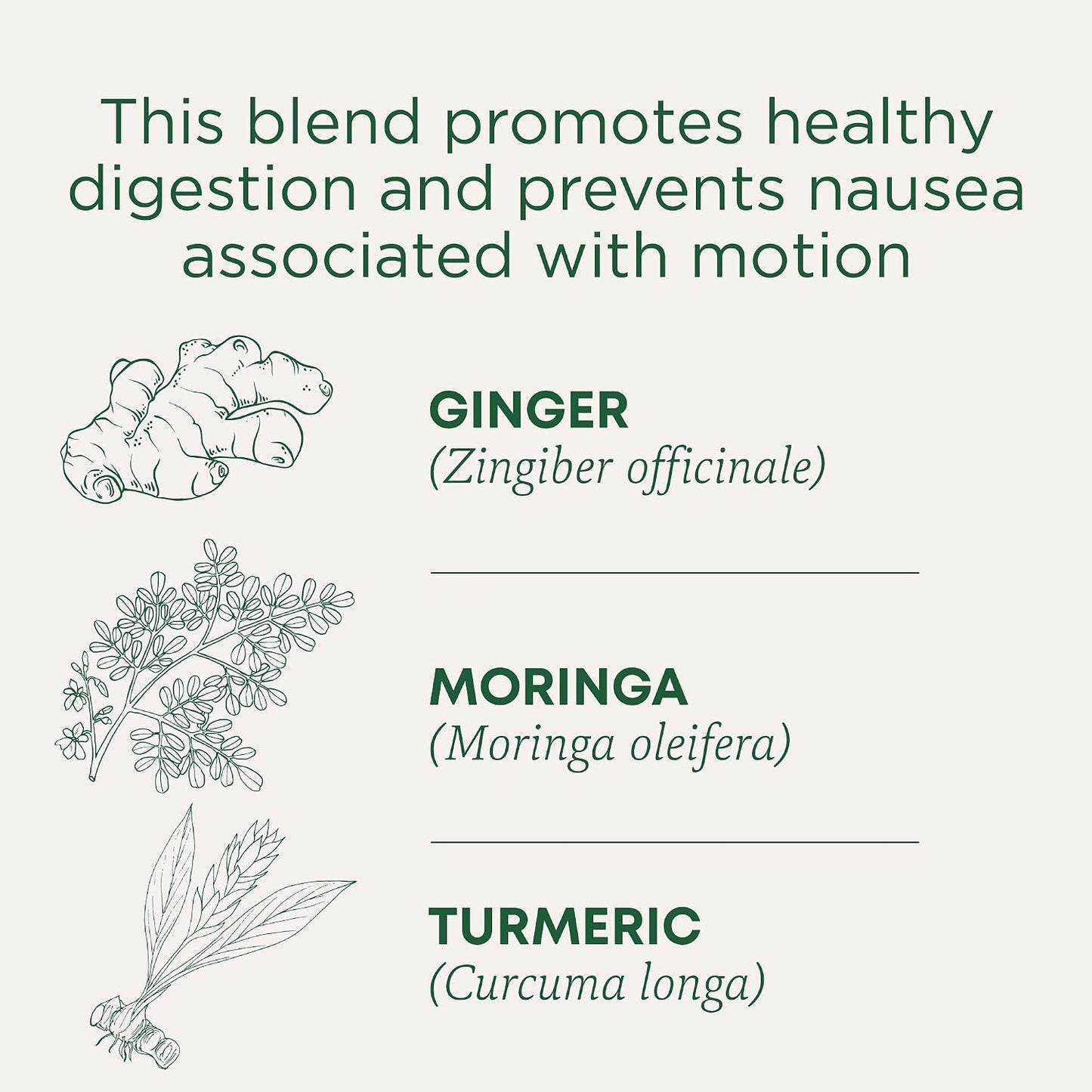 Traditional Medicinals Organic Lemon Ginger Tea, 1.13 Oz, 16 Count