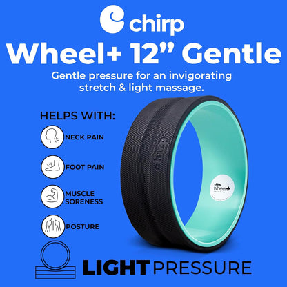 Chirp Wheel Foam Roller - Targeted Back & Neck Pain Relief, Muscle Massage, Trigger Point Therapy, High-Density Foam Tool for Physical Therapy, Stretching & Exercise, 500lbs Capacity, 12-Inch Mint