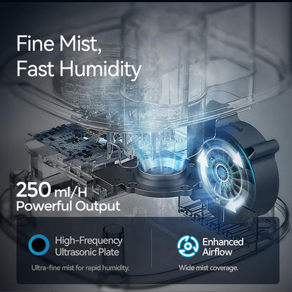ROSEKM Humidifiers for Bedroom (1.1L), Small Cool Mist Humidifier for Home Plant and Baby Nursery, Quiet Ultrasonic Humidifier with 360° Nozzle, Auto Shut-Off, Filterless, Black