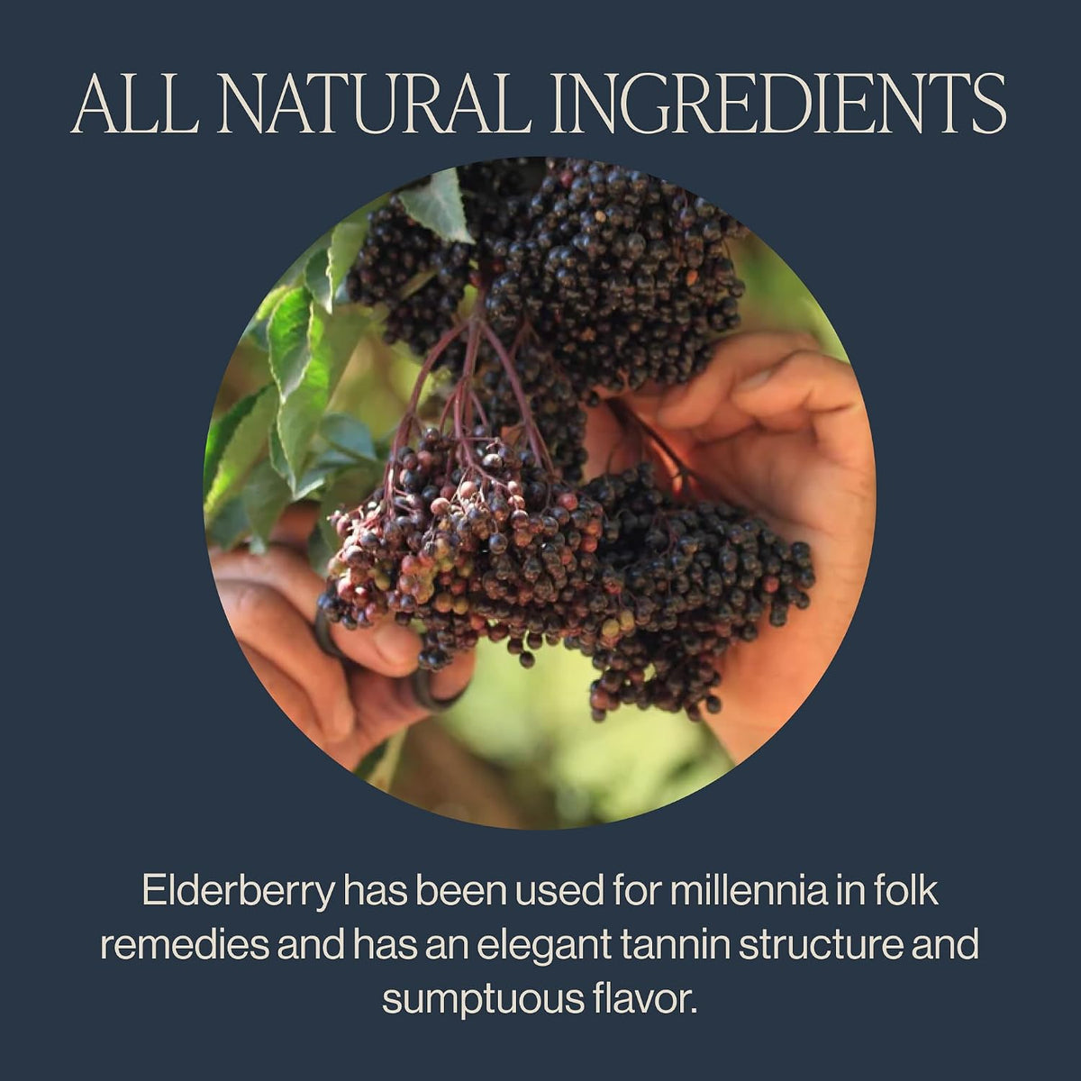 Rishi Tea Elderberry Healer Organic Herbal Tea Bags, Caffeine Free, 15ct