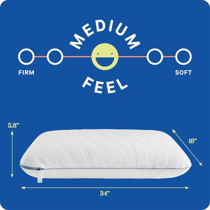 Sealy Dreamlife Queen Size Memory Foam Cooling Pillow with Surface Guard Technology, Removable Machine-Washable Cover, 1 Year Limited Warranty, White (2 Pack)
