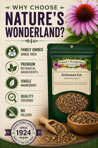 Nature's Wonderland Echinacea Purpurea Root Cut 4oz. (Echinacea purpurea) – Wild Harvested Herbal Tea Cut | Premium Botanical Ingredient | No Fillers | Herbal Tea, Decoctions & DIY Herbal Preparations