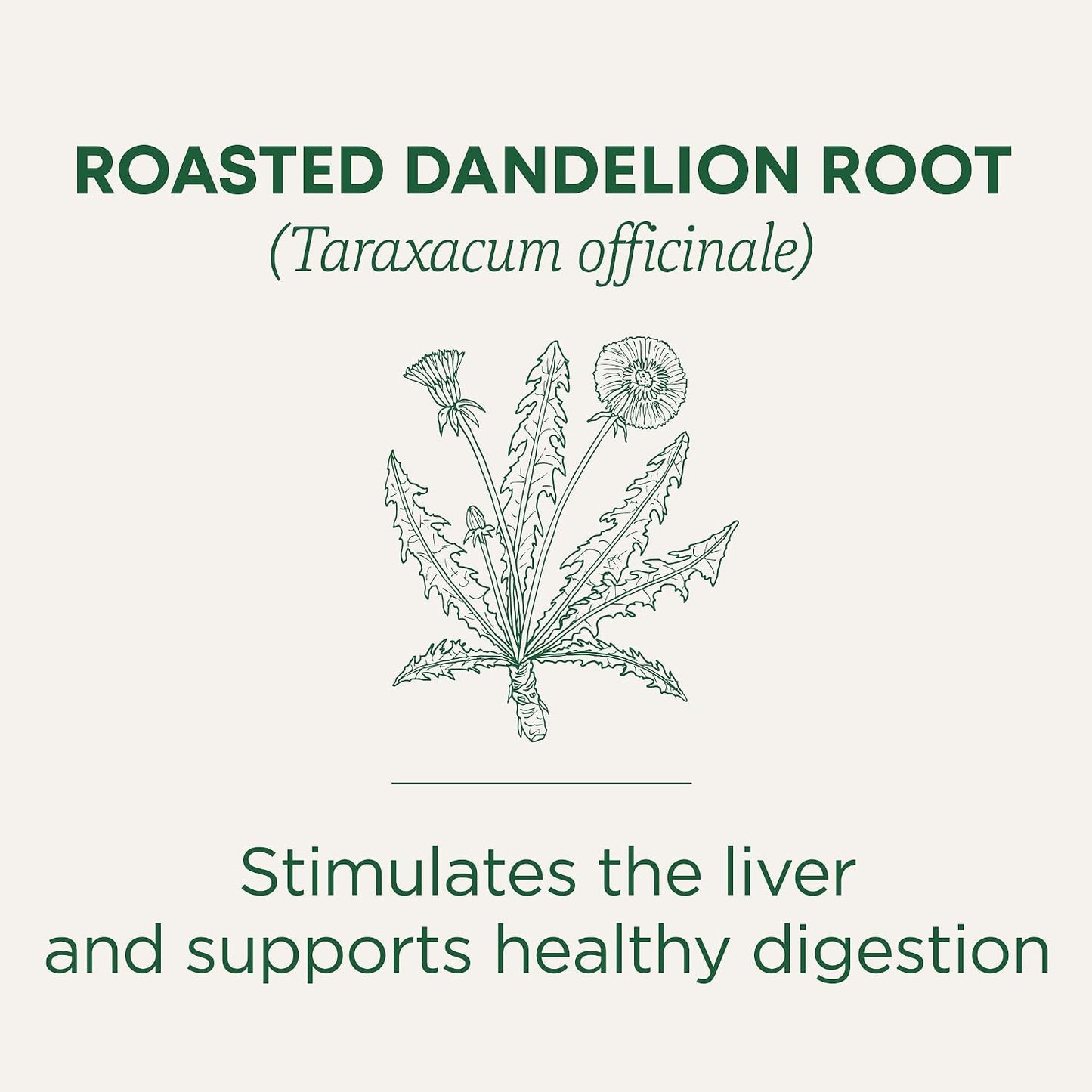 Traditional Medicinals Organic, Dandelion Leaf & Root - Dandelion Root Tea, Supports Normal Detox + Digestion - Kosher, Non-GMO, Caffeine-Free, Compostable - 96 Tea Bags (6 Packs of 16)