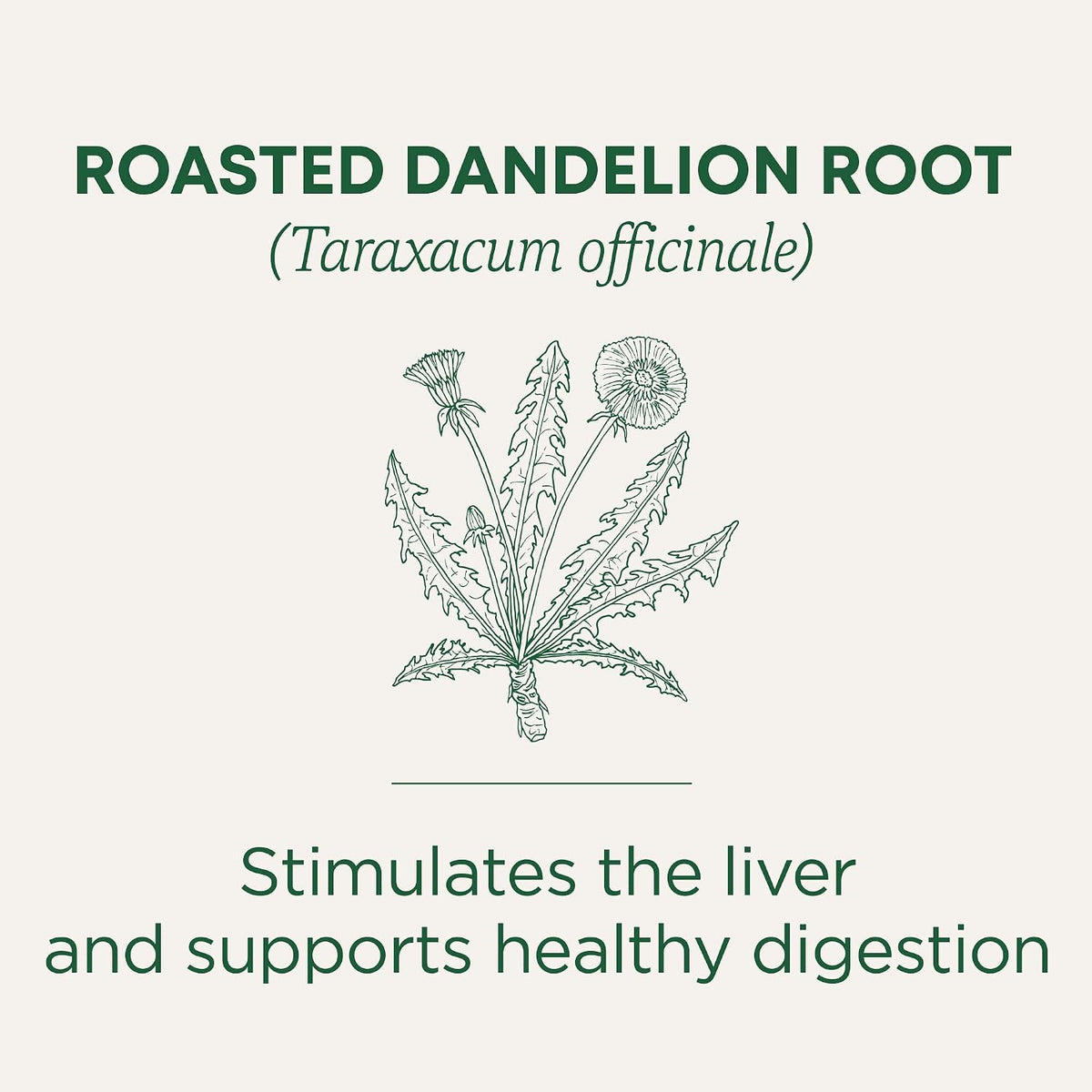 Roasted Dandelion Root Tea - 16 Count - Pack of 1, 0.85 oz
