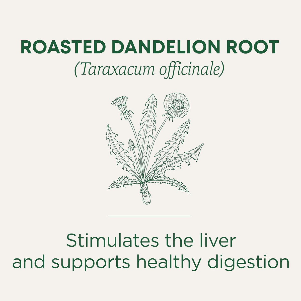 Traditional Medicinals Organic Roasted Dandelion Root, 96 Tea Bags