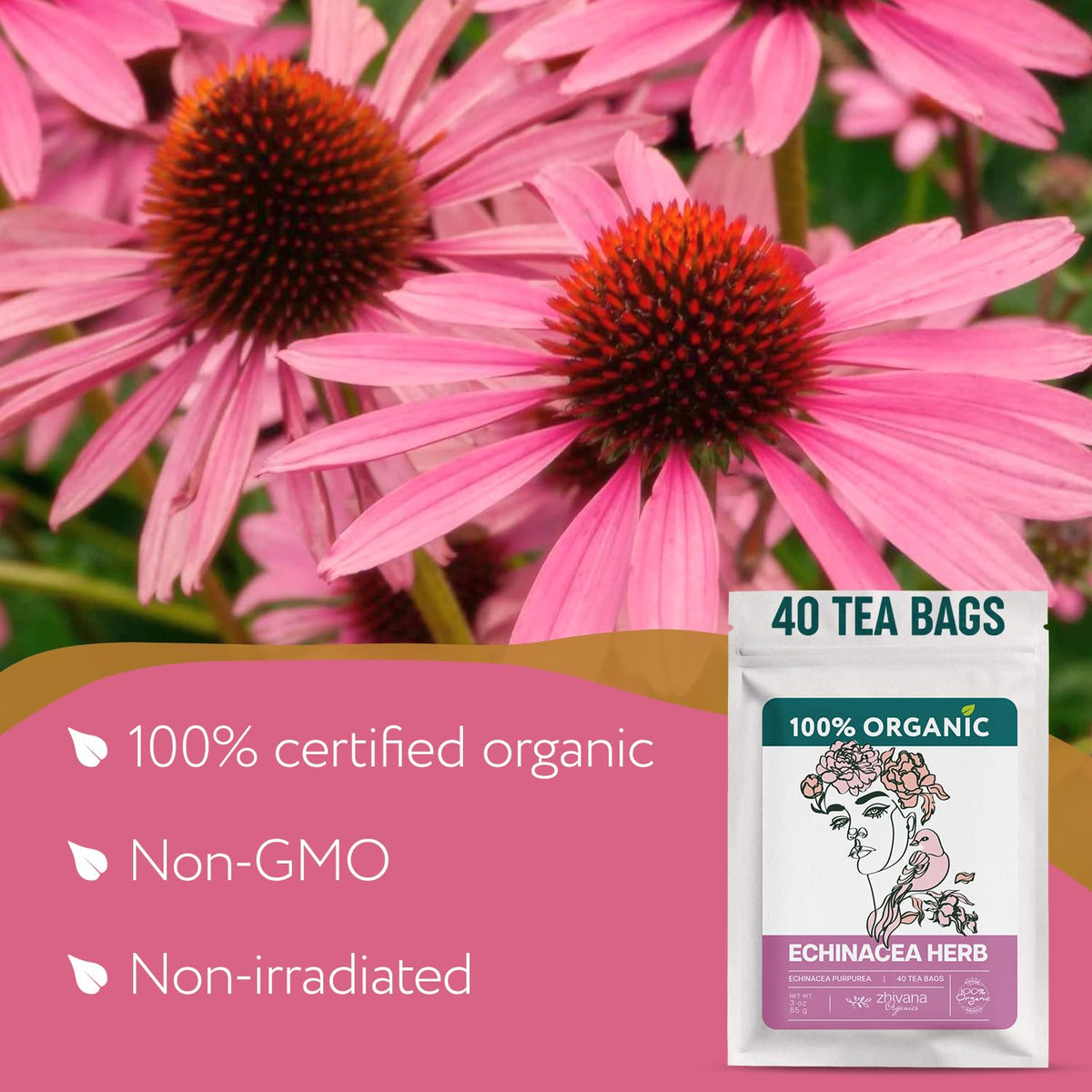 Echinacea Tea Organic (40 Bleach-Free & Microplastic-Free TeaBags) - Natural Immunity Support