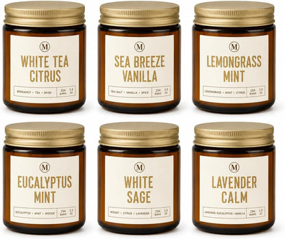 6-Pack Scented Candles for Home, 3.5 Oz Soy Wax Aromatherapy Candle Gift Set, Lavender Chamomile, Eucalyptus Mint & Vanilla, Birthday Gifts for Women, Thank You Graduation Gifts