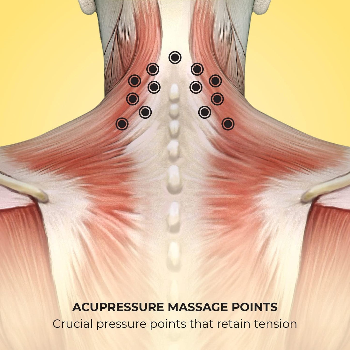 Lindo Shiatsu Neck Massager - Adjustable Knobs for Four-Point Gentle Shiatsu or Two-Point Deep Tissue Massage